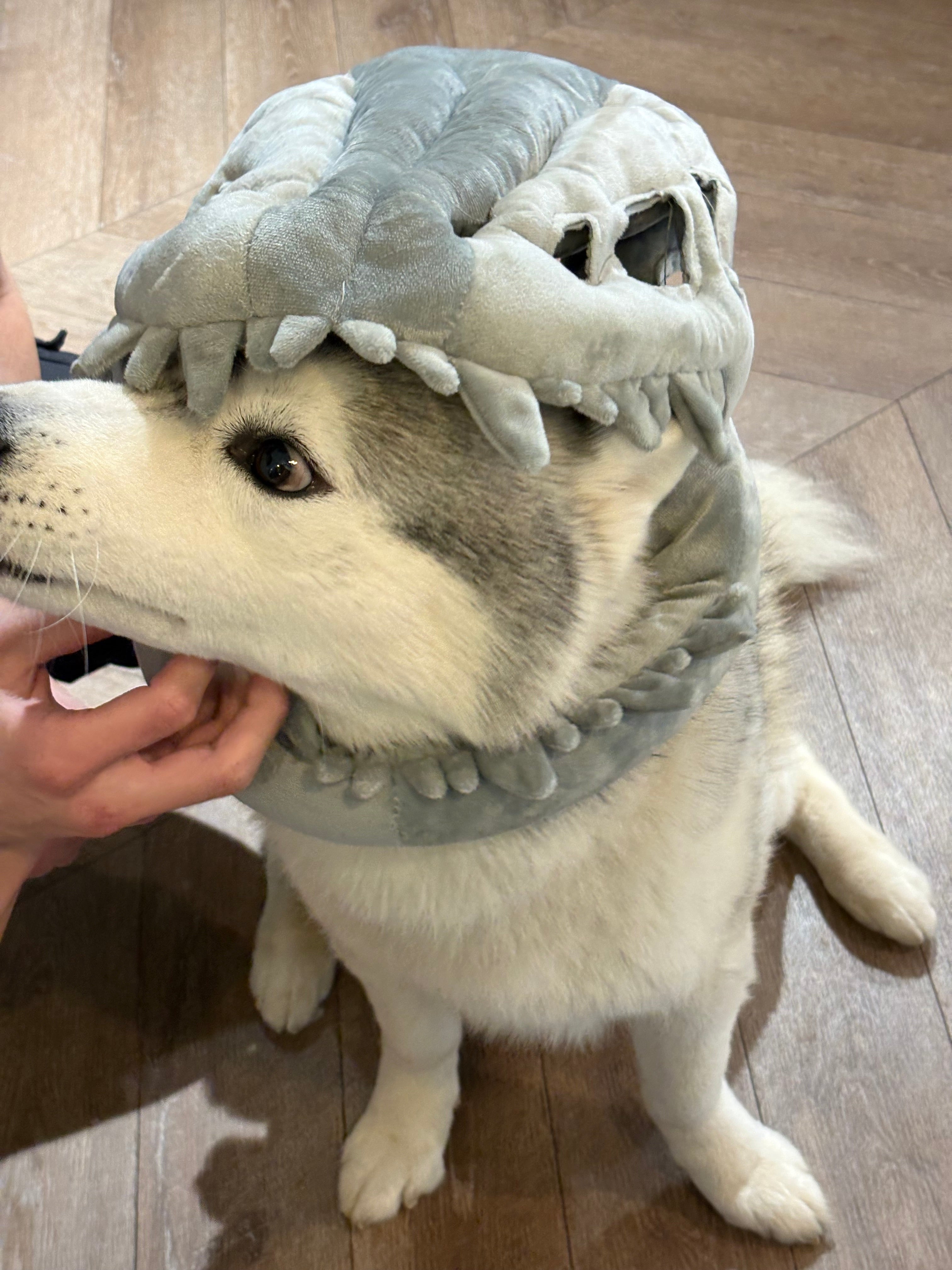 SillyDino Giant Plush Dinosaur Cushion / Cuddle Pillow – Super Soft