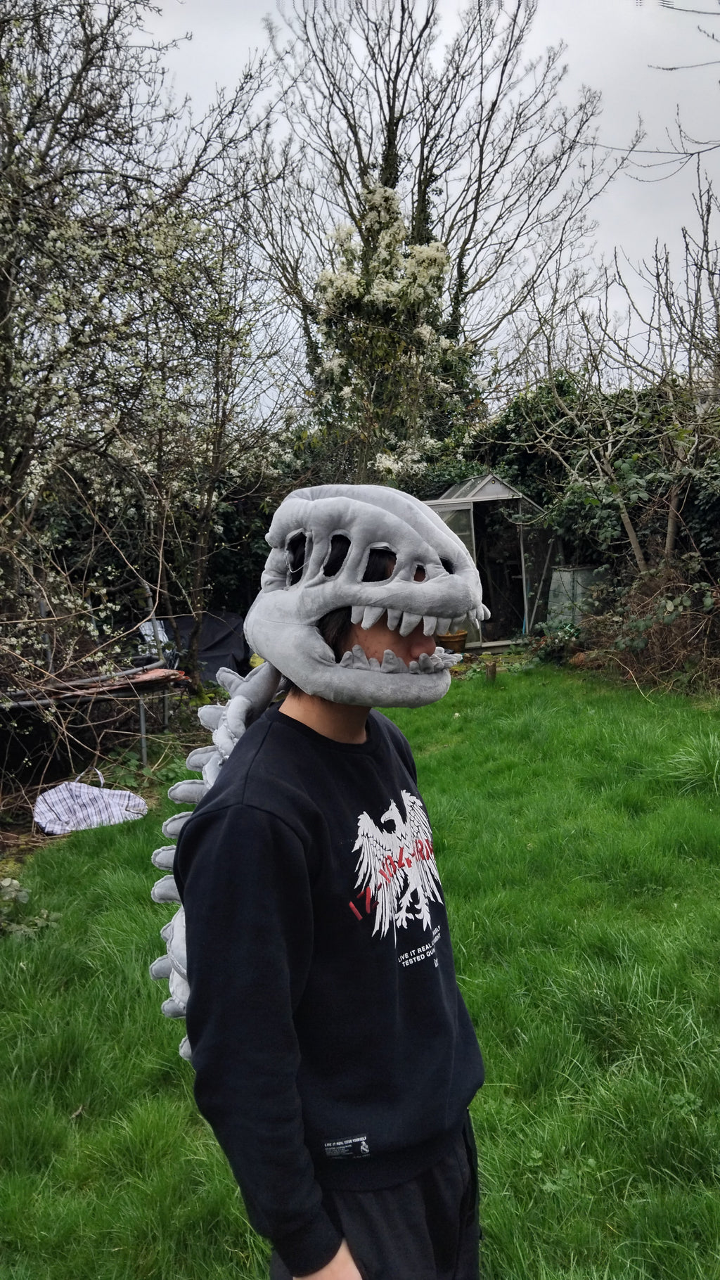 SillyDino Giant Plush Dinosaur Cushion / Cuddle Pillow – Super Soft