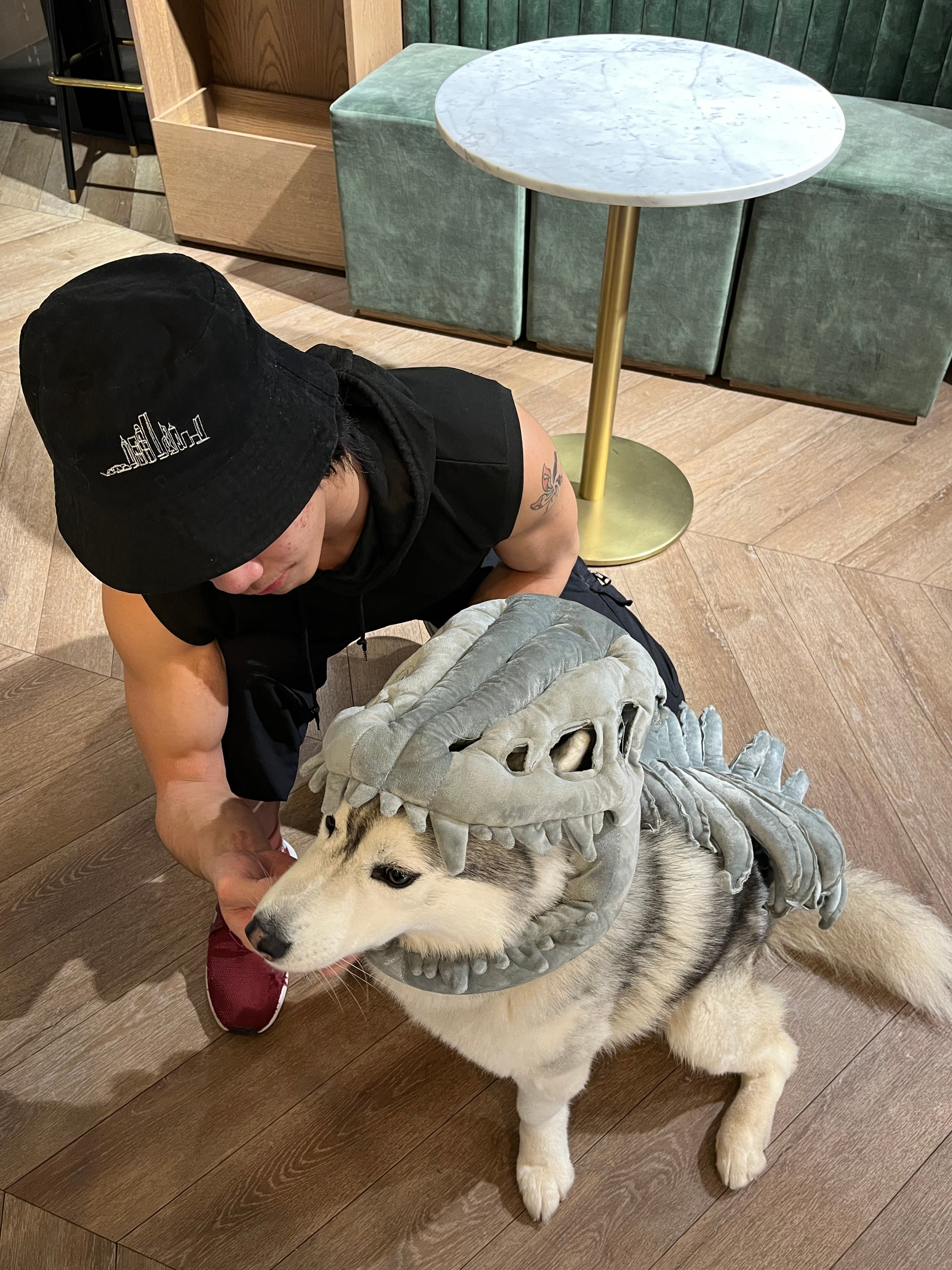 SillyDino Giant Plush Dinosaur Cushion / Cuddle Pillow – Super Soft